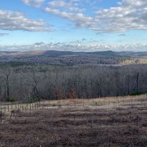 Meet your Posher, Grant